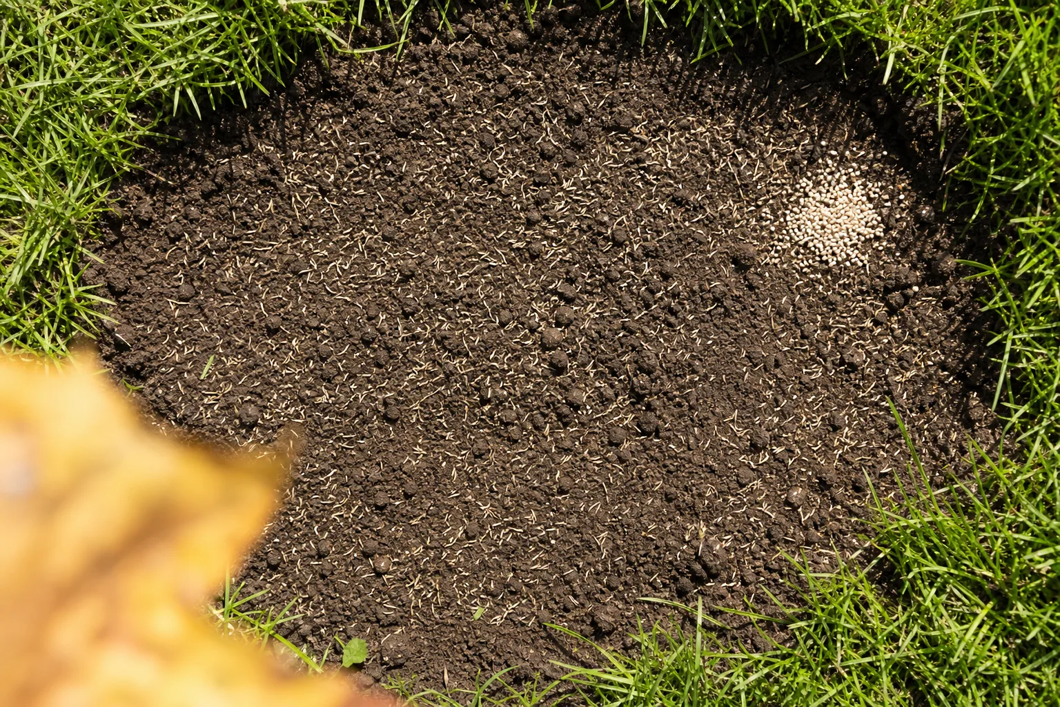 Grassaat liegt neben Herbstdünger auf festem Boden